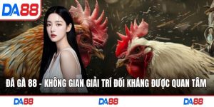Đá gà 88