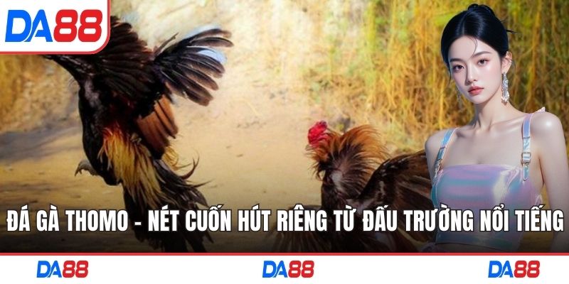 đá gà thomo