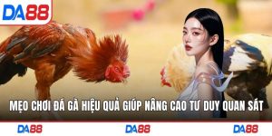 Mẹo chơi đá gà