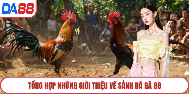 Tổng hợp những giới thiệu về sảnh Đá gà 88
